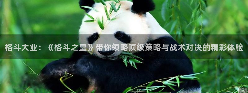 长征娱乐平台注册开户：格斗大业：《格斗之皇》带你领略顶级策略