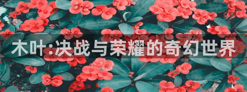 手机版长征娱乐客户端下载：木叶:决战与荣耀的奇幻世界