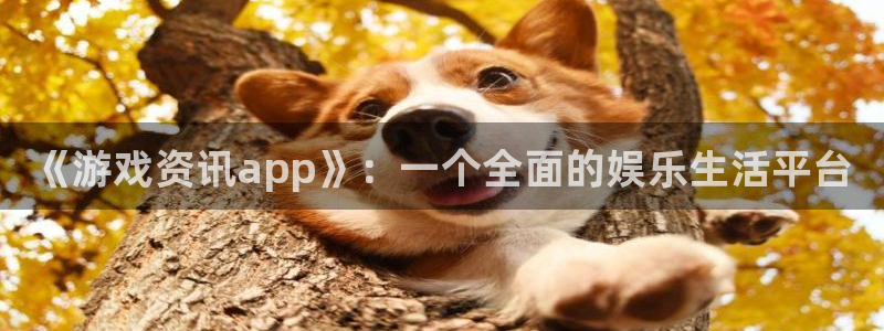 长征娱乐测速登陆：《游戏资讯app》：一个全面的娱乐生活平台