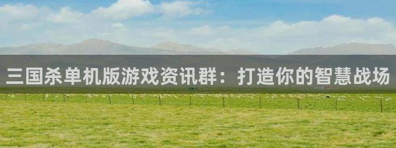 长征娱乐注册开户：三国杀单机版游戏资讯群：打造你的智慧战场