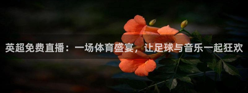 833足球赛事直播：英超免费直播：一场体育盛宴，让足球与音乐一起狂欢