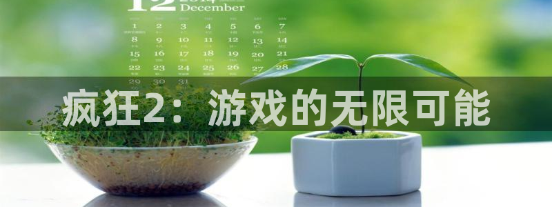 长征娱乐平台下载安装：疯狂2：游戏的无限可能